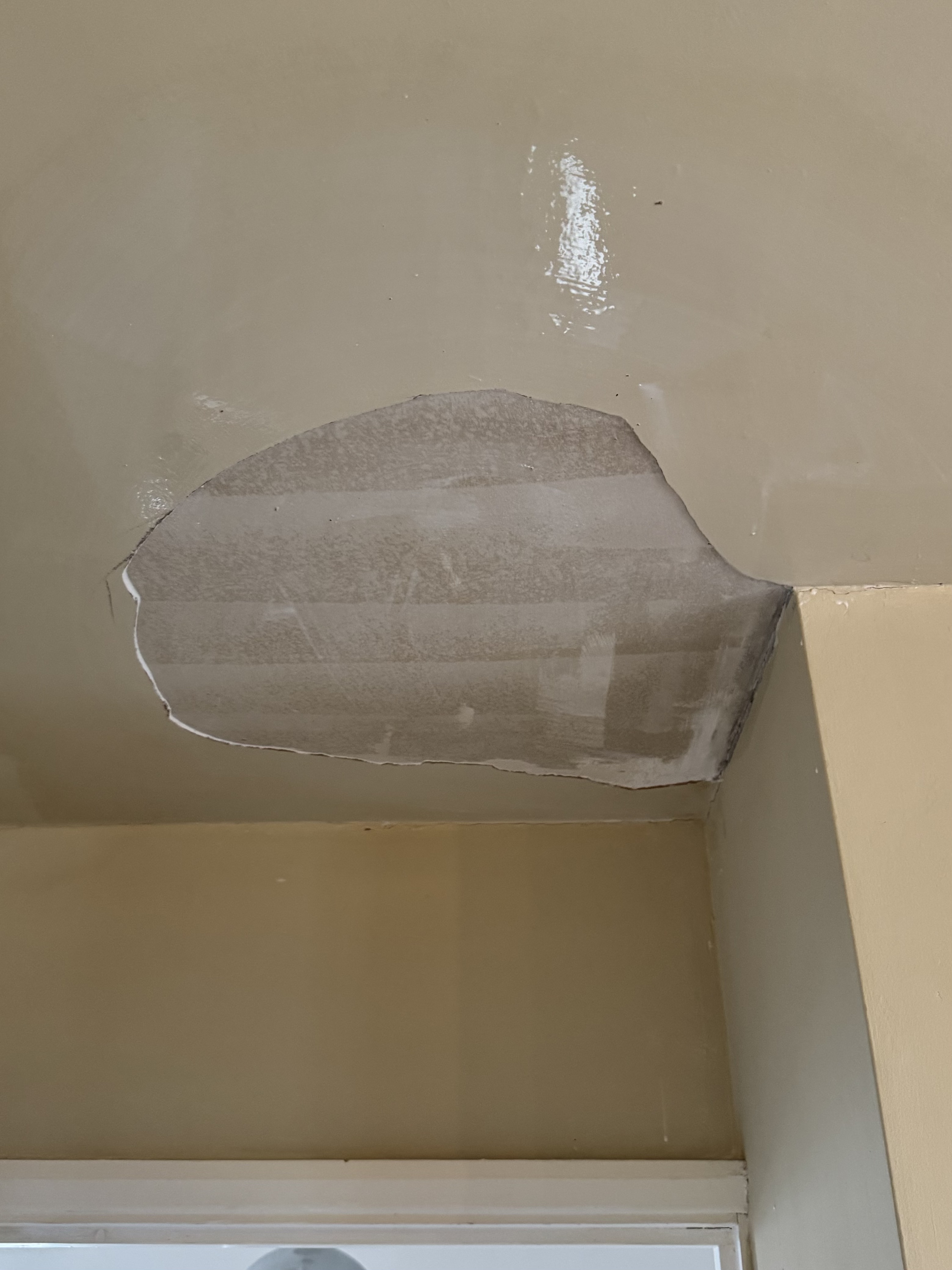 Before - Ceiling Repair